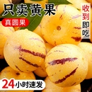 包邮 人参果新鲜水果云南石林黄心圆果树上熟七彩人叁果应当季 整箱
