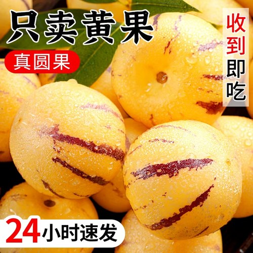 只发黄果丨收到即食丨树熟人参果