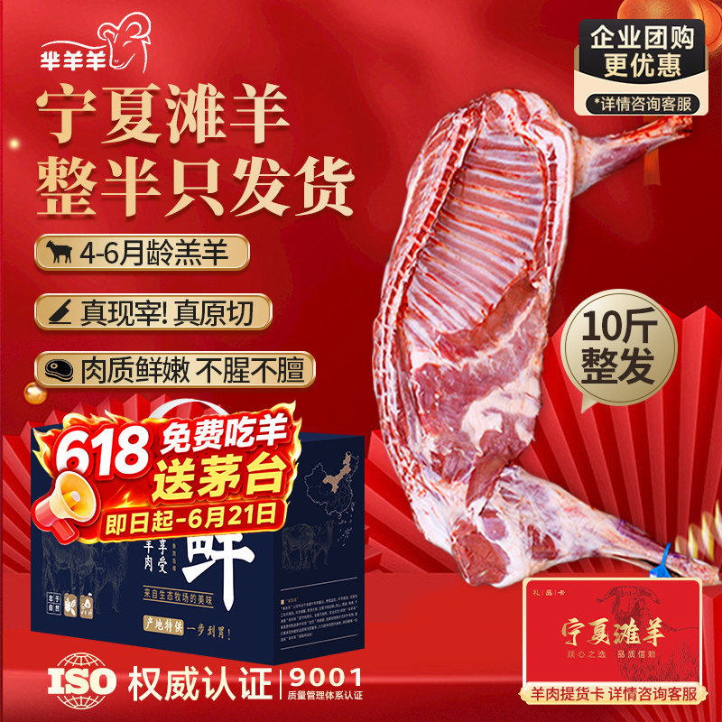 正宗宁夏滩羊肉新鲜现杀原切半羊整发整半只羊10斤半羊端午礼盒