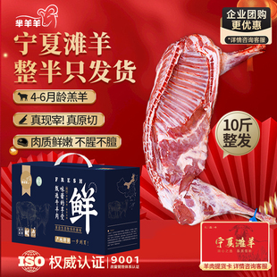正宗宁夏滩羊肉新鲜现杀原切半羊整发整半只羊10斤半羊年货礼盒