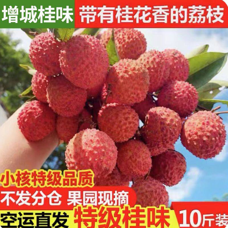 新鲜荔枝增城桂味荔枝当季荔枝新鲜水果现摘现发京东空运次日达