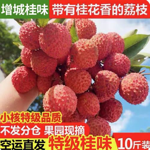 新鲜荔枝桂味荔枝新鲜水果