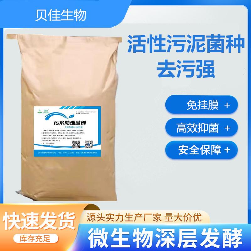 废水污水处理菌种好氧菌厌氧菌硝化菌反硝化菌填料挂膜菌种