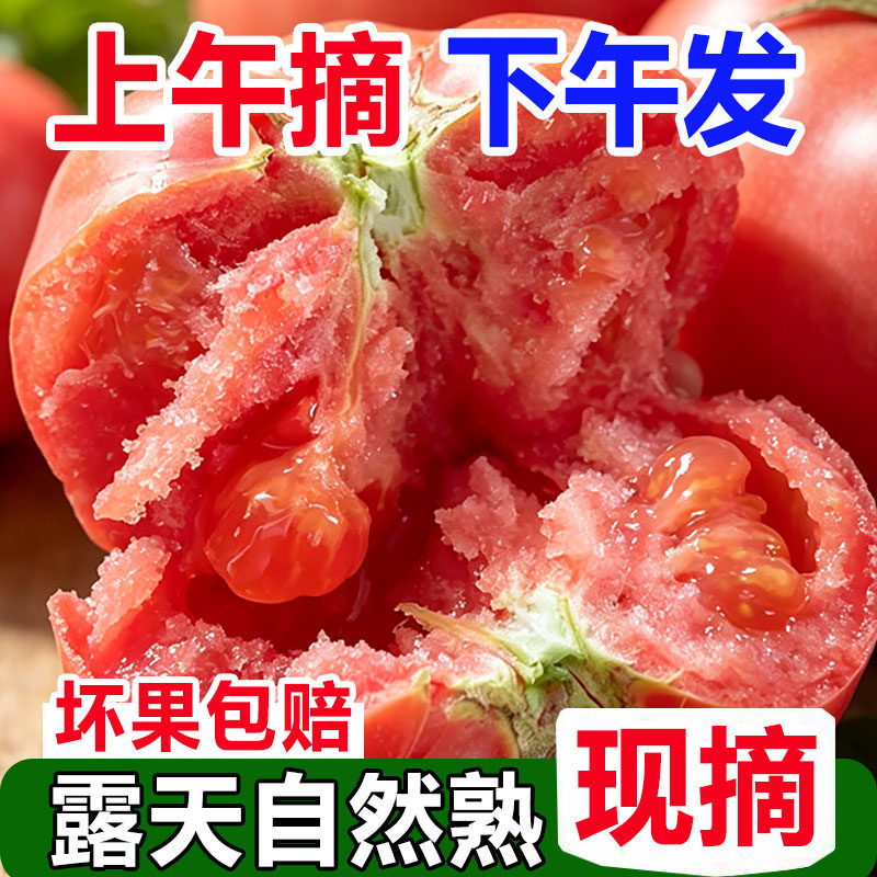 新鲜攀枝花沙瓤西红柿新鲜自然熟当季孕妇水果生吃番茄蔬菜