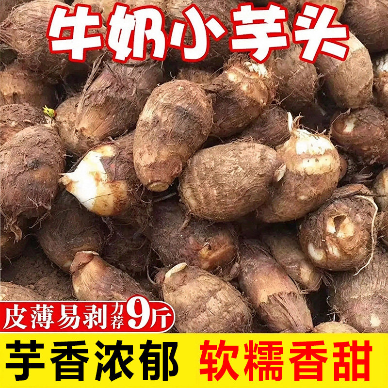 云南新鲜小芋头软糯香甜农家自种装牛奶芋头毛芋头艿芋头香芋子芋