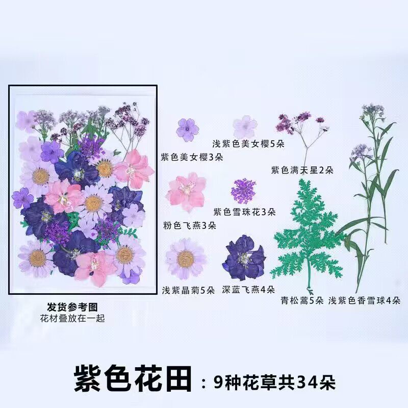 速发干花 压花押花材料包花瓣书签真花滴胶干树叶植物标本