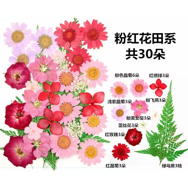 速发干花压花贴脸材料包美甲滴胶素材包 押花材料包亲子活动手工