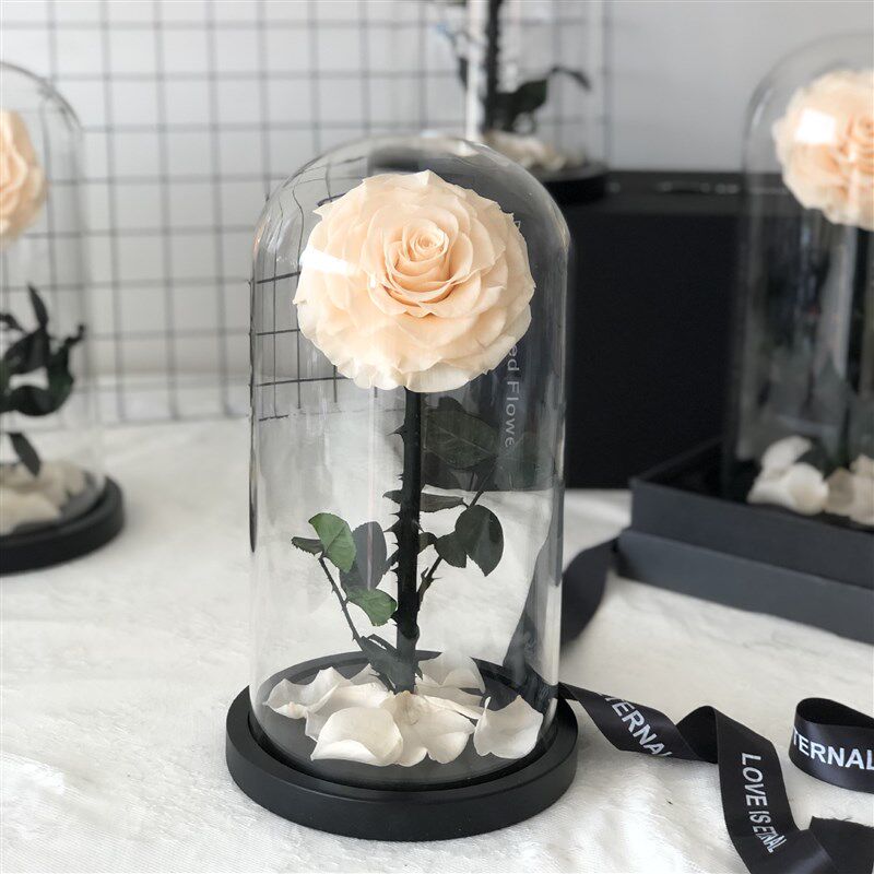 速发【永生花玫瑰小王子】七夕情人节创意礼物云南干花永生花厂家