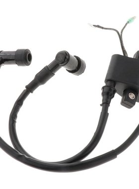 东发外机高压包 3G2-06050 3A0-06048-1 适用于Tohatsu2冲程9.9