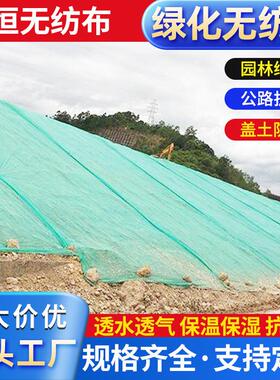 厂家绿化防尘无纺布 护坡斜坡绿色防尘布植草盖土布 盖土无纺布