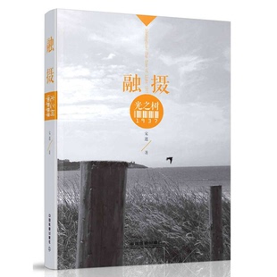 光之树1937宋逖著中国铁道出版 融摄 收藏品 社9787113238476 正版