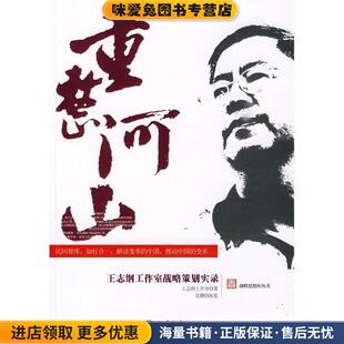 王志纲工作室战略策划实录 著北京大学出版 正版 王志纲工作室 社9787301157619 收藏品 重整河山