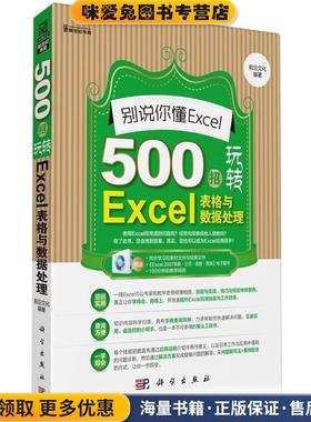 别说你懂Excel:500招玩转Excel表格与数据处理(正版收藏品)前沿文化 编科学出版社9787030371782