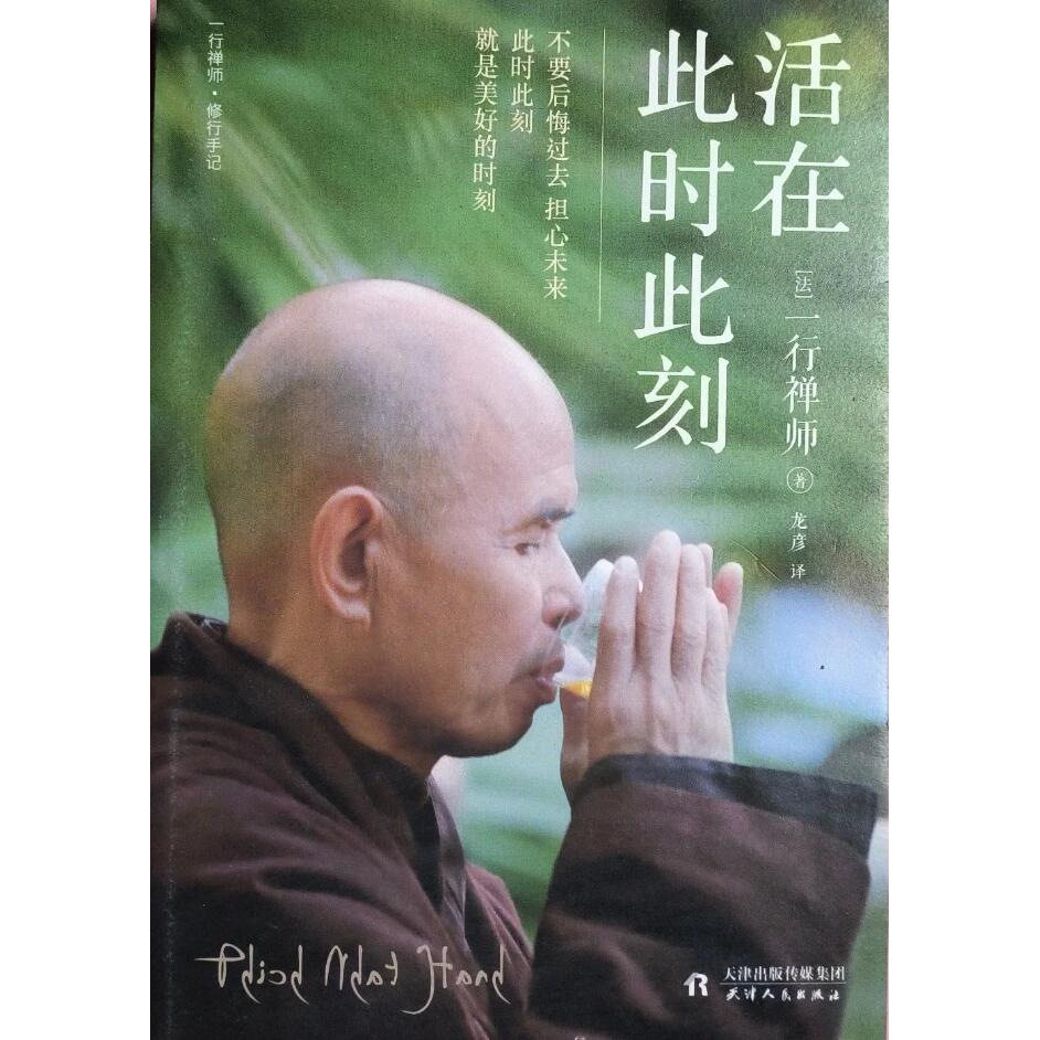 活在此时此刻(正版收藏品)一行禅师天津人民出版社9787201128580 - 实物图