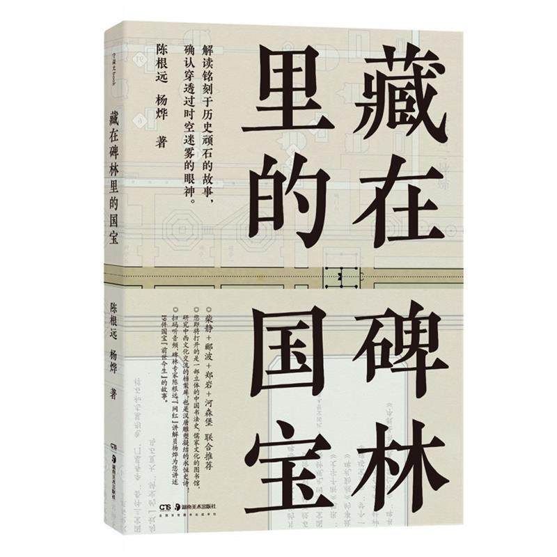 藏在碑林里的国宝(正版收藏品) 陈根远杨烨湖南美术出版社9787535688774