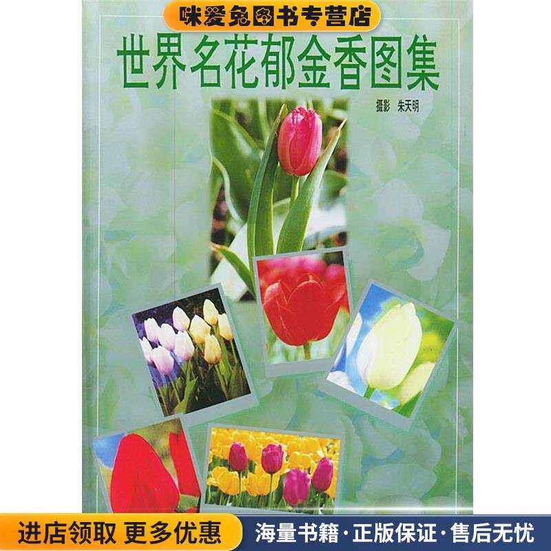 世界名花郁金香图集(正版收藏品)朱天明 摄影上海科学技术文献出版社9787543911857