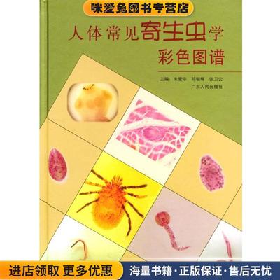 人体常见寄生虫学彩色图谱(正版收藏品)朱爱辛,孙朝晖,张卫云 著广东人民出版社9787218045382