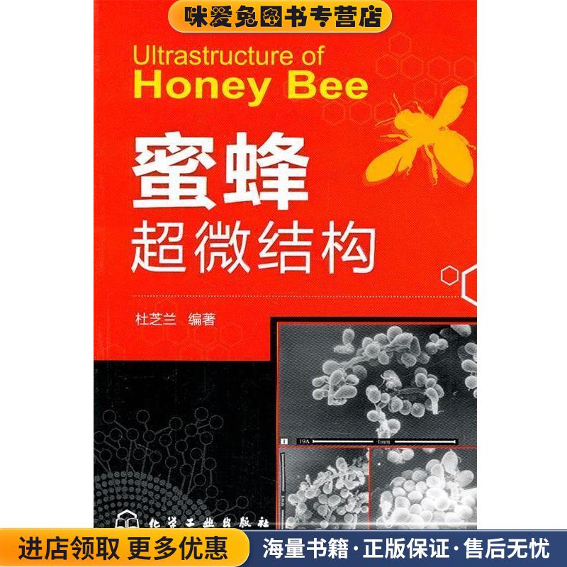 蜜蜂超微结构(正版收藏品)杜芝兰著化学工业出版社9787122110411