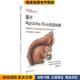 正版 收藏品 Hueske 基于Apache Fabian 流处理 Kalavri Vasiliki Flink 著中国电力出版 社9787519840112