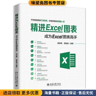 精进Excel图表:成为Excel图表高手(正版收藏品)周庆麟,周奎奎 著北京大学出版社9787301307083