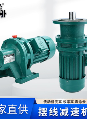 x摆线减速机 双级摆线电机减速机30kw bwed131 摆线针轮减速器