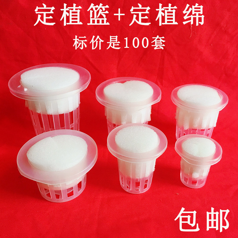 速发水培定植篮固根器无土栽培蔬菜设备塑料加深植物种植杯加定植