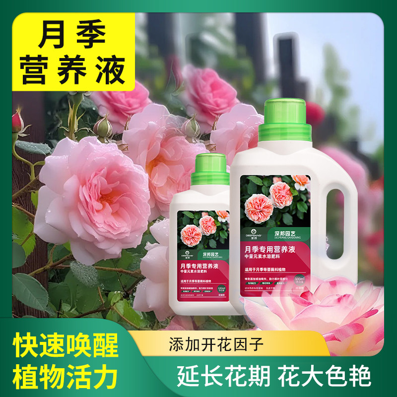 速发月季专用营养液花肥料促花防花浓缩盆栽植物花卉用烂根养花专