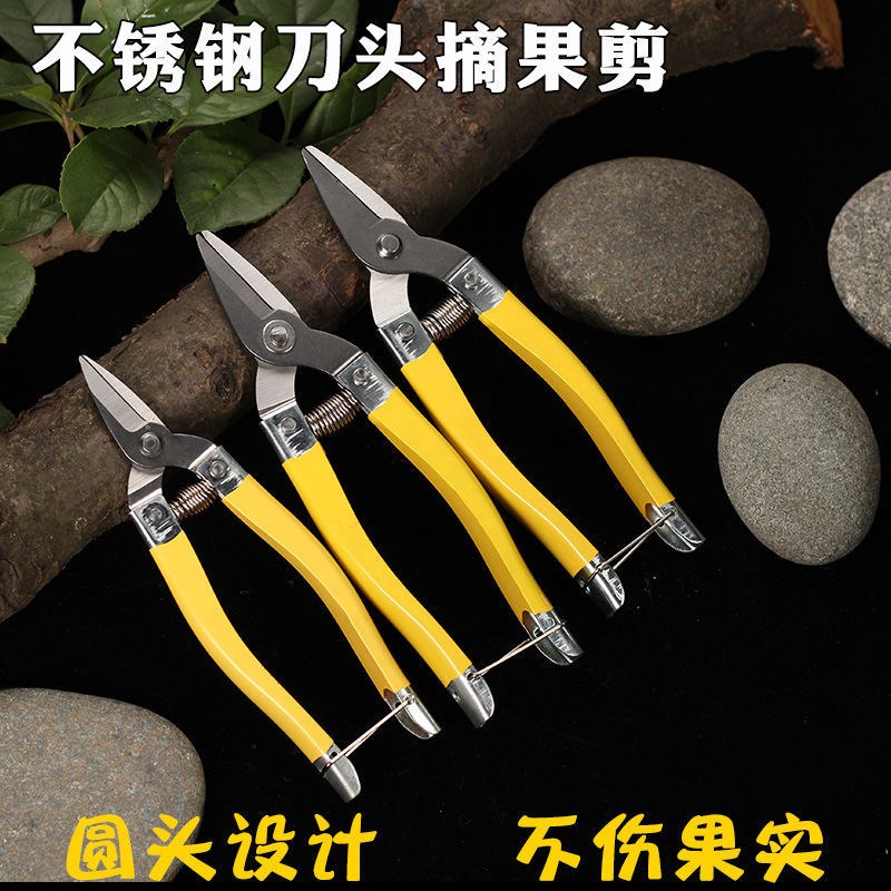 速发果花剪剪 修枝剪 园林果剪 果树剪刀省剪树枝修葡萄剪刀园艺