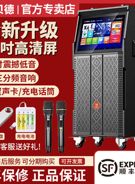 贝德音响视域系列1505户外K歌广场舞显示屏高端视频高清大屏音箱