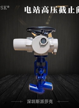 Z960Y-P54、Z961Y-P54、Z962Y-P54电站闸阀、J961Y-P54电站截止阀