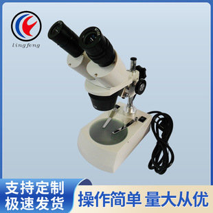 灵峰双目体视显微镜XT-III-40X带上下电光源40倍工业  立体显微镜