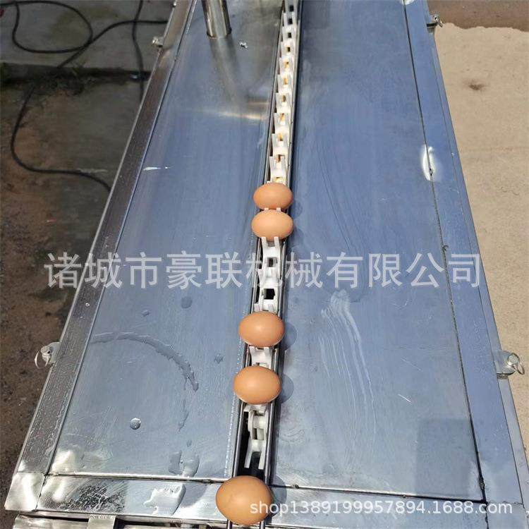 洗蛋机 全自动洗蛋机 清洗机鸭蛋 可配套风干分级喷油打码等,农机/农具/农膜,农用防护器具,淘宝优惠券,粉丝福利购,淘宝优惠卷