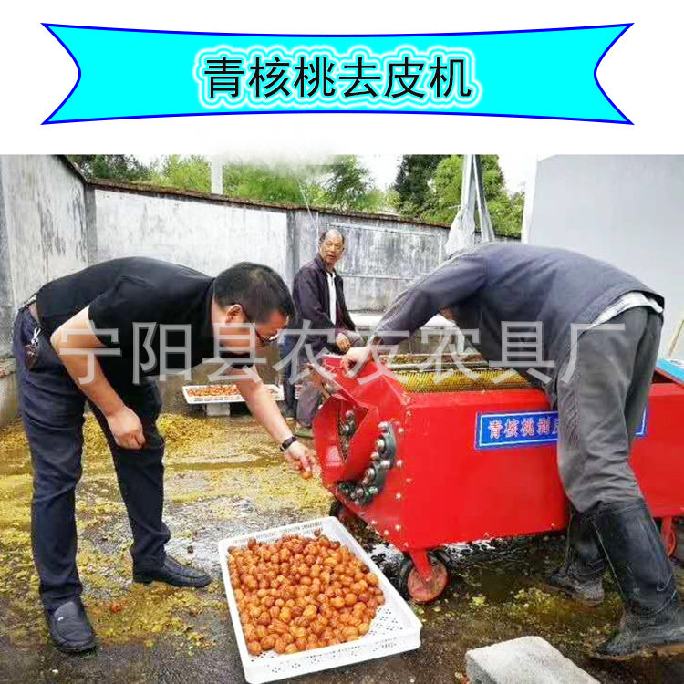农友核桃去皮机毛刷清洗剥壳机鲜核桃去皮机山西临汾薄皮核桃破壳