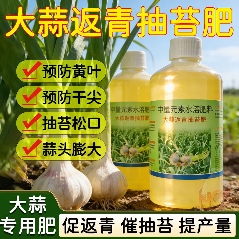 大蒜返青抽苔肥剂出反齐胖头粗专用增产菌清原液源叶面肥粗长直