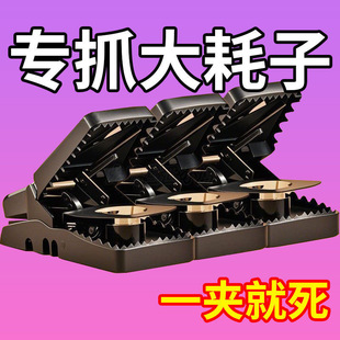 老鼠夹老鼠扑捉器全自动捕鼠神器老鼠粘强力粘鼠板粘鼠板捕鼠器