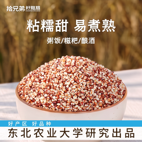 拾兄弟东北红高粱米粘糯当季新米