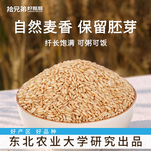 拾兄弟东北燕麦米当季新米
