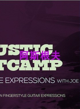 极速TrueFire Acoustic Bootcazmp Fingerstyle Expressions 指弹