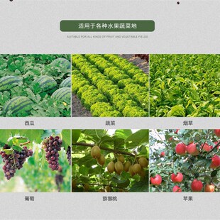 极速包邮农用喷雾器配件 蔬菜果树不锈钢加O厚高压打药枪追肥枪施