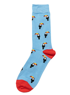 舒适竹纤维抗菌防臭排湿透气巨嘴鸟Toucan中筒男袜BA076