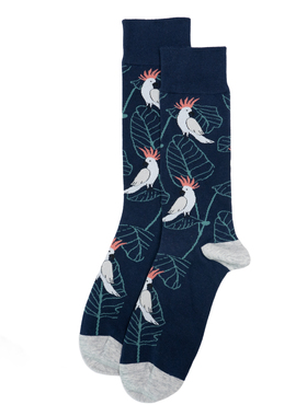 海岛风情比马棉无骨对目酷炫凤头葵花鹦鹉Cockatoo对口男袜TBM