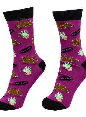 舒适棉质YOU SUCC你成功了刺猬Hedgehogs男女情侣直板中筒袜FU