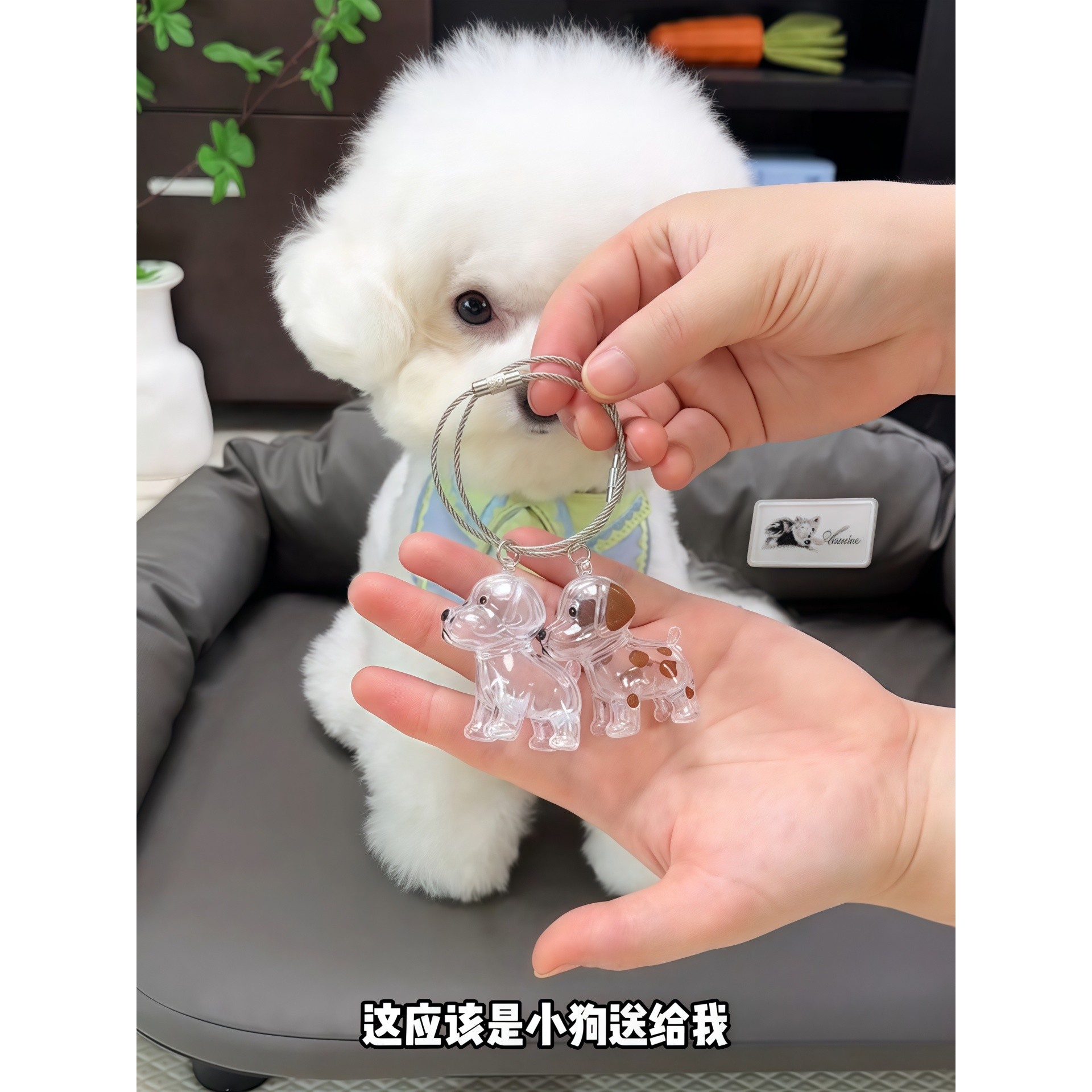 狗毛收纳挂件狗狗毛发纪念收集钥匙扣透明小狗挂饰装饰包宠物用品