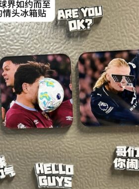 足球界情头冰箱贴！爆火英超哈兰德射门马伕罗帕诺斯冰箱贴世界杯