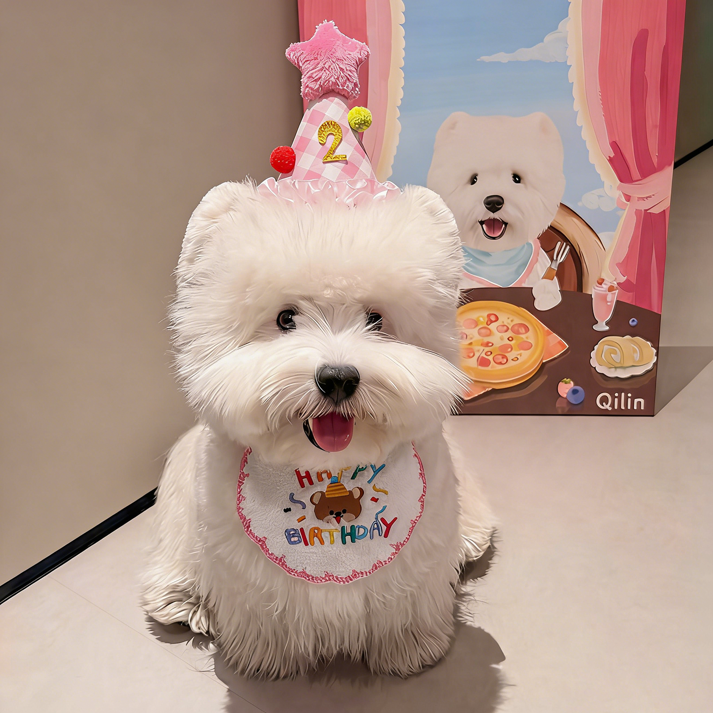 狗狗口水巾围脖宠物生日派对装饰生日帽围兜头饰可爱装扮拍照道具