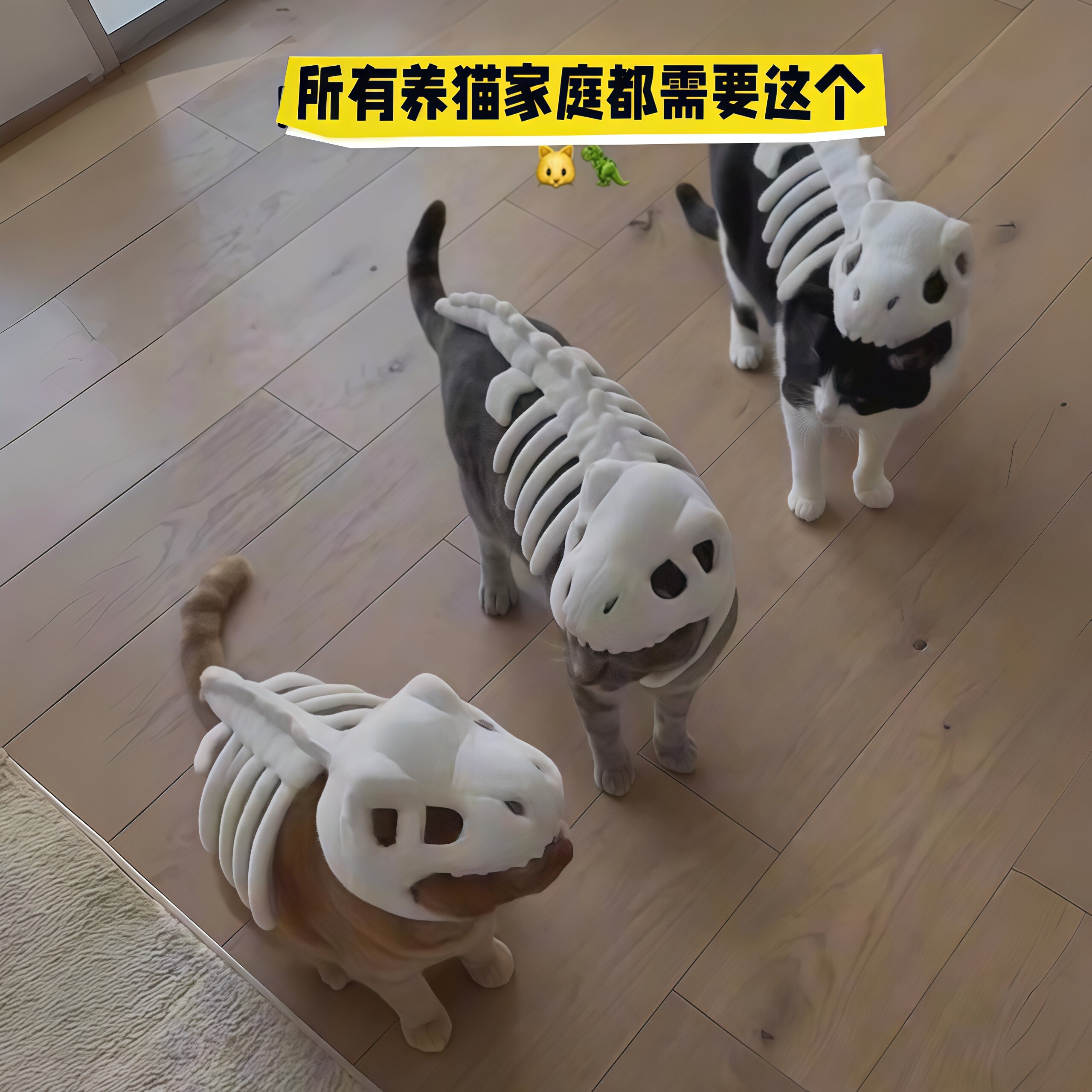 恐龙骨架头套猫咪宠物搞怪霸王龙外骨骼玩偶帽子毛绒玩具宠物专用