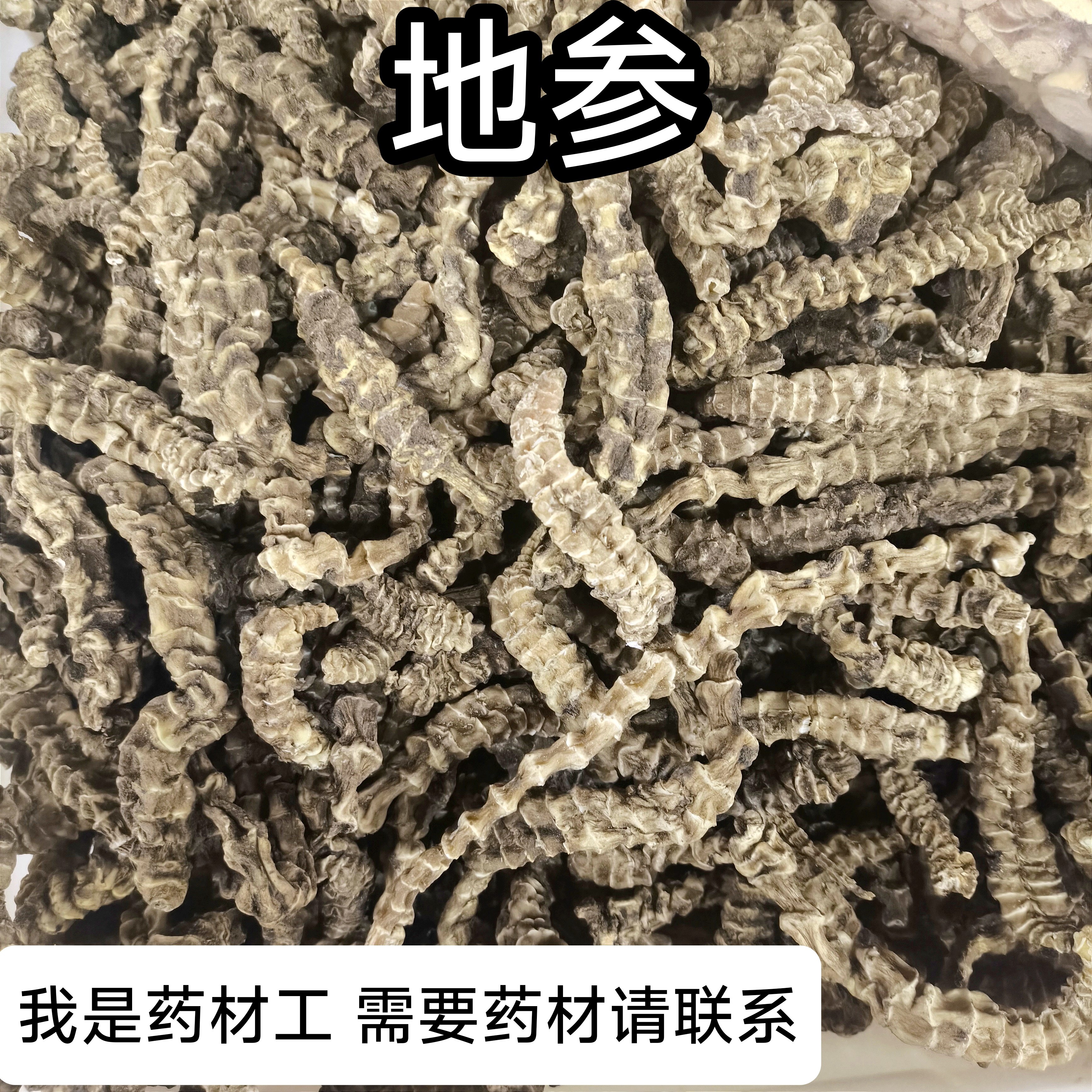 地参中药材精选虫草参地参不老草地参煲汤泡茶泡酒虫草参