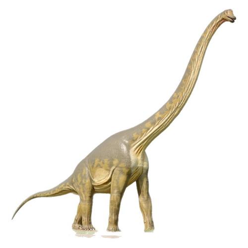 厂家直供仿真电动恐龙模型公园景区游乐场博物科技馆展览腕龙