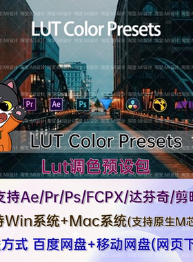 600组婚礼旅行vlog时尚大片视频调色LUTs预设 LUT Color Presets
