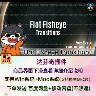 Fisheye Flat Transition 视频转场预设芬奇模板 40种鱼眼变形风格